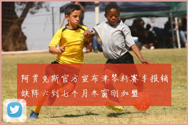 阿贾克斯官方宣布津琴科赛季报销缺阵六到七个月冬窗刚加盟